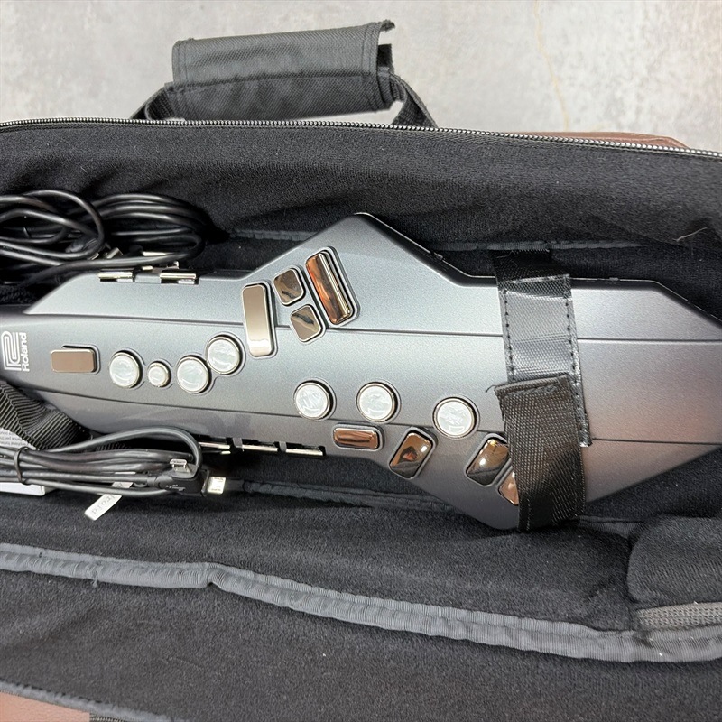 Roland Aerophone GOの画像